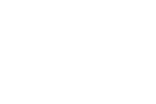 Illustration of a bouquet of flowers