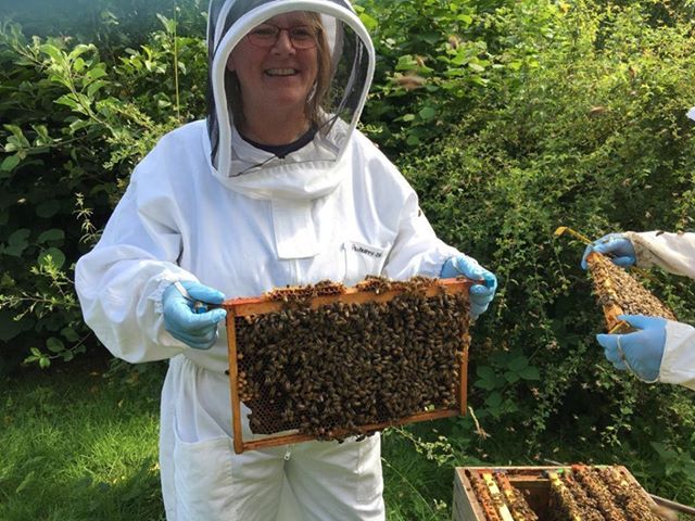 Beekeeping Experience