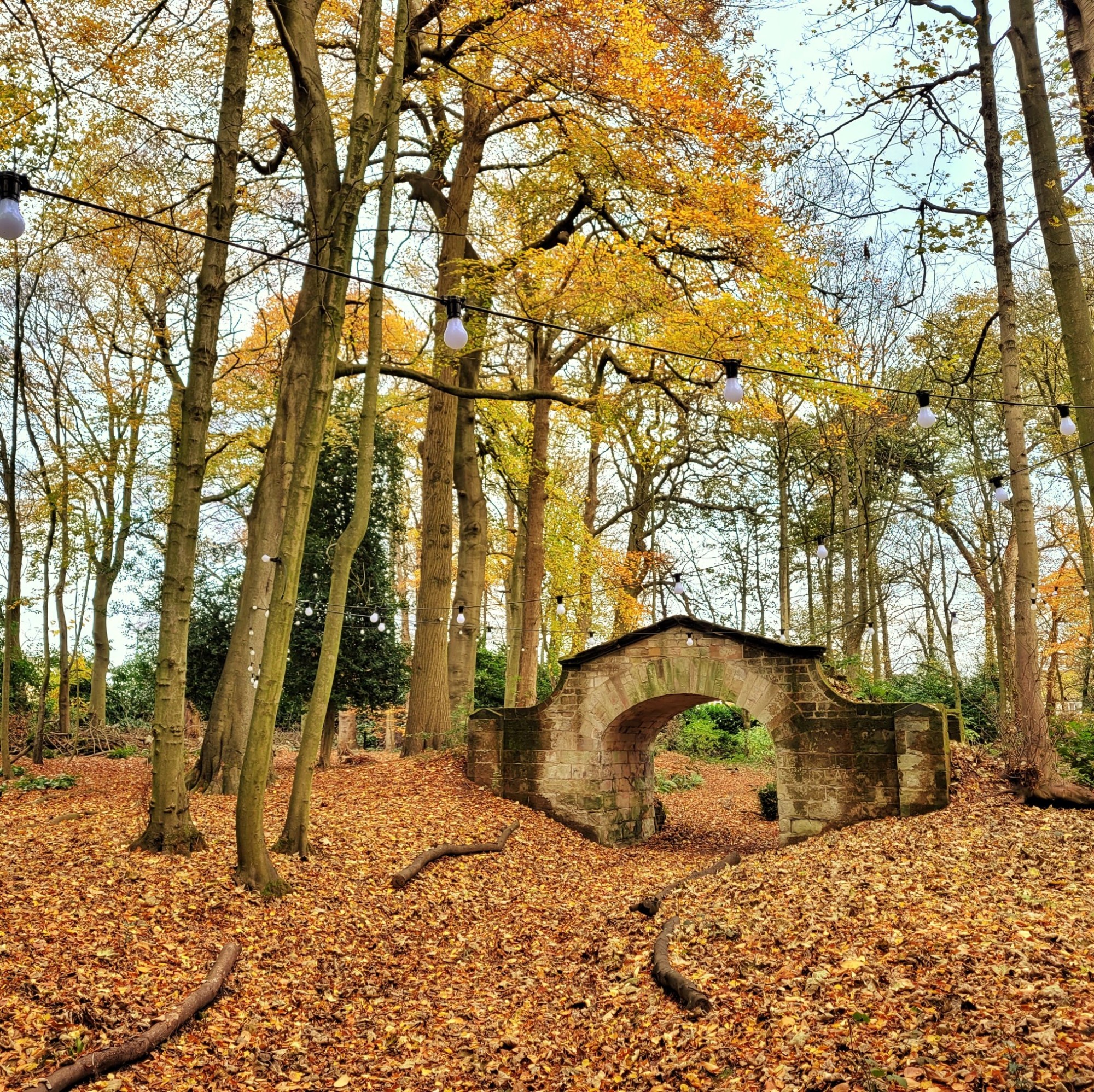 Stone archway and string lights in Moor Hall’s autumn woodland